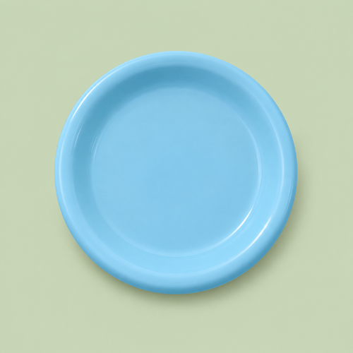Sky Blue Everyday Dinner Plate